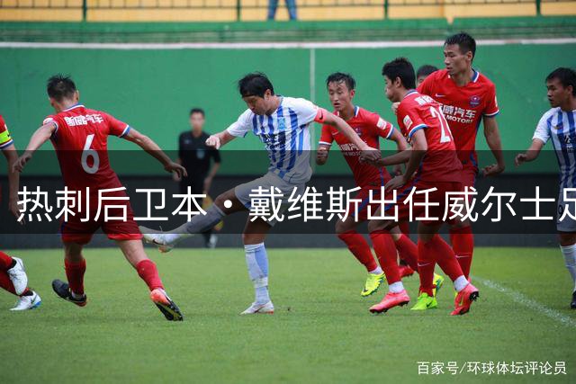 热刺后卫本·戴维斯出任威尔士足协理事